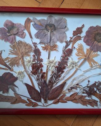 Quadro con fiori secchi