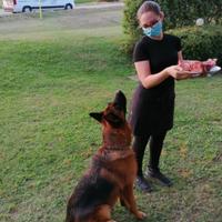 Dog sitter a Sagrado e dintorni