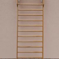 Spalliera svedese professionale