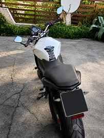Hornet 600