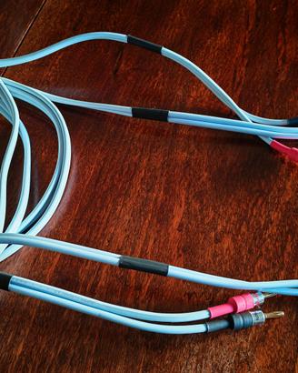 Cavi di Potenza HIFI Supra
2x6 B100 coppia 2.5m