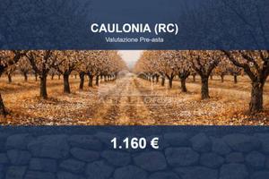 Immobile in asta di 680 m² a Caulonia