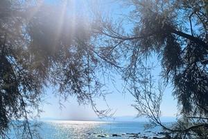 Casa vacanze mare Gargano puglia