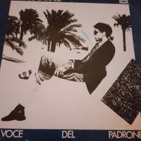 venili franco Battiato 