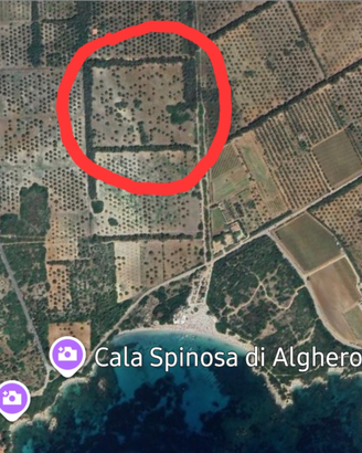 Terreno Lazzaretto Alghero