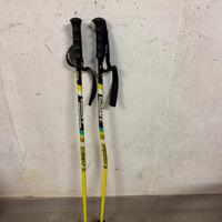 Bastoncini da sci Scout