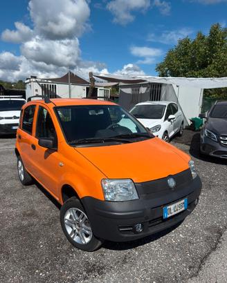Fiat Panda 1.3 MJT Van Dynamic 4 posti (N1)