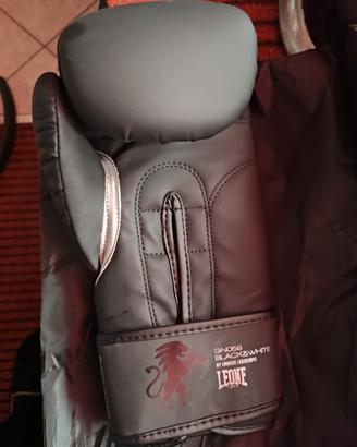 Guantoni boxe marca LEONE 14 once