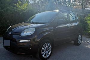Fiat panda 2013 natural power