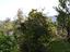 Immagine 14