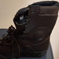 ANFIBI OTTIMI PER ZONE BOSCHIVE