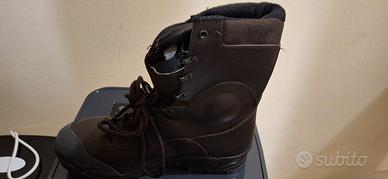 ANFIBI OTTIMI PER ZONE BOSCHIVE