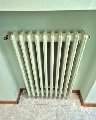 Termosifoni in ghisa vintage