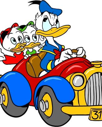 Istruttore di autoscuola 