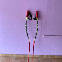 Bastoni sci super g/discesa libera