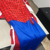 Carnevale spiderman