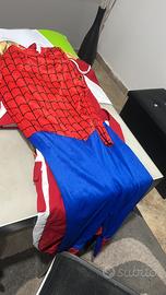 Carnevale spiderman