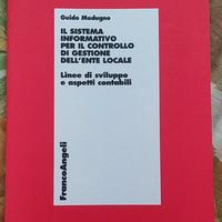 Il sistema informatico per il controllo di gestion