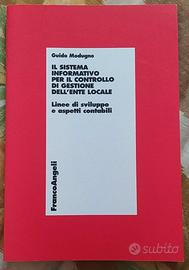 Il sistema informatico per il controllo di gestion