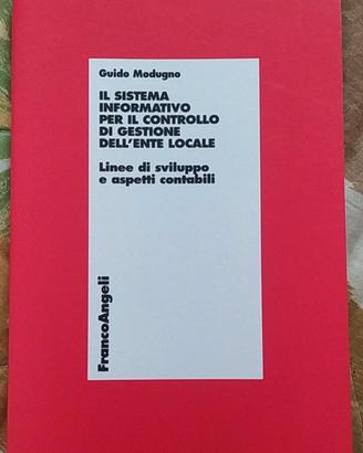 Il sistema informatico per il controllo di gestion