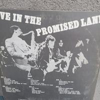 33 giri Bruce springsteen