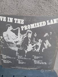 33 giri Bruce springsteen