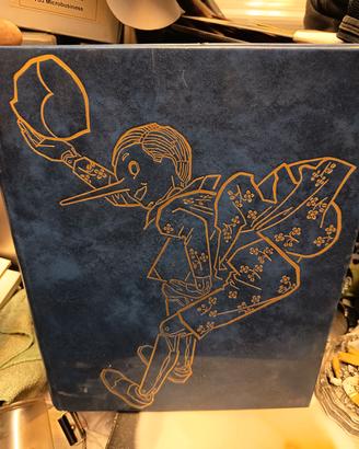 libro pinocchio 