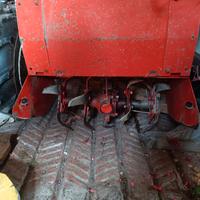 Motozappa/ Fresa Goldoni