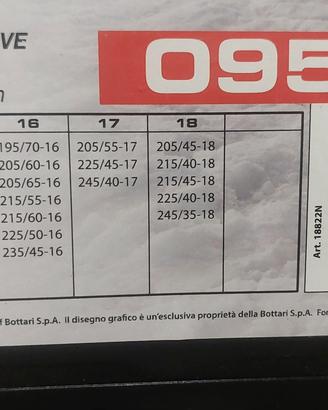 Catene da neve