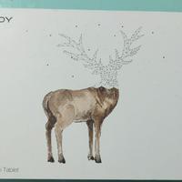 Tavoletta grafica INSPIROY H640P