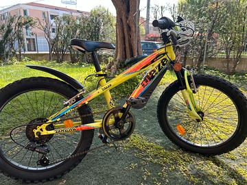 bicicletta