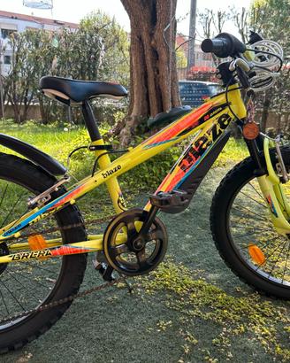 bicicletta