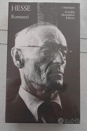 Hesse Romanzi