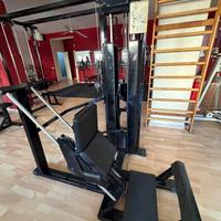 DONKEY CALF MACHINE PANATTA