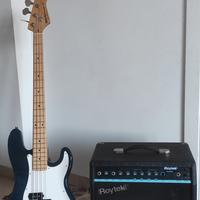 basso Roytek traditional series e amplificatore 60