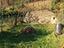 Immagine 26