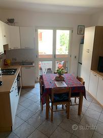 Bosa m v venezia lib giug 1-19 lug e 16-31 agosto