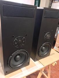 Casse Spearkers Autocostruite Linea di Trasmission