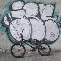 BMX con PEG e manubrio 360°