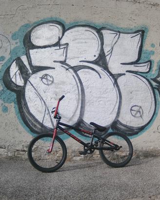 BMX con PEG e manubrio 360°