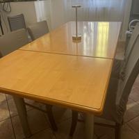 Tavolo da pranzo + 4 sedie in buono stato