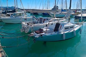 Barca a Vela COCALETTA 7m  