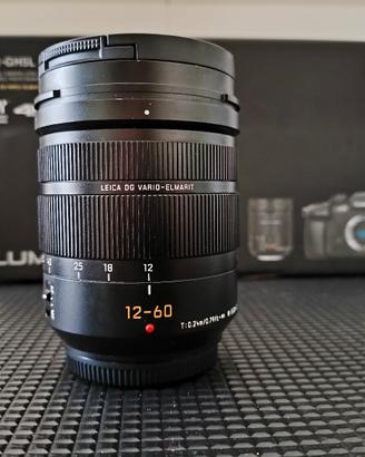 Panasonic Leica DG Vario-Elmarit 12-60mm f/2.8-4.0