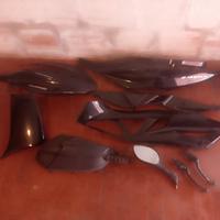 CARENE KAWASAKI J300