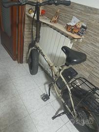 Bicicletta elettrica