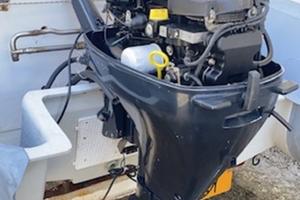 Motore Evinrude 15cv 4tempi