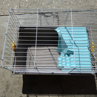 Gabbia porcellino d'india