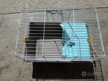 Gabbia porcellino d'india