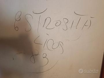 quadro pittore Navigli Milano 