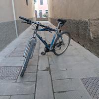 Mountain-bike da Uomo 